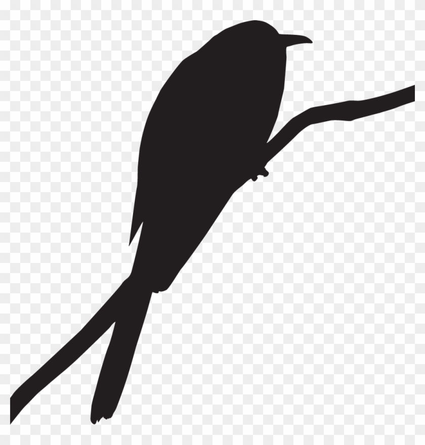 Blackbird Clipart Black Bird - Blackbird Clipart Black Bird #1501317