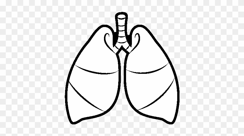 Free Human Heart And Lungs Coloring Pages - Free Human Heart And Lungs Coloring Pages #1501418