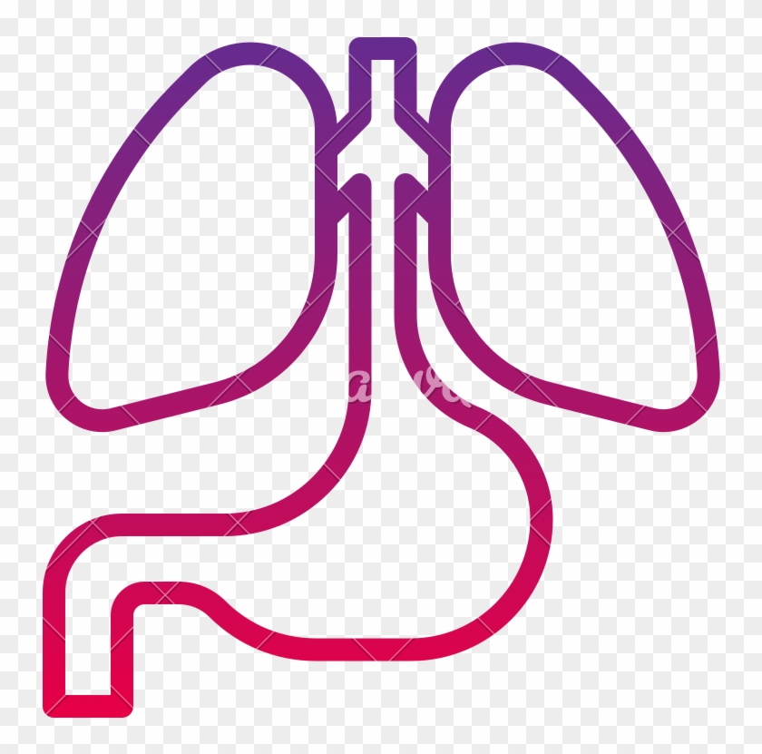Anatomy Lung Body Health Human Icon - Anatomy Lung Body Health Human Icon #1501419
