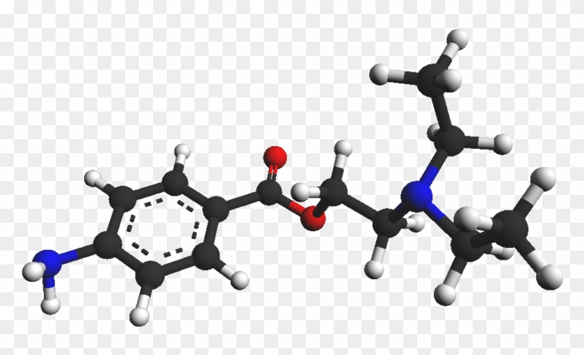 Procaine And Procainamide Inhibit The Wnt Canonical - Procaine And Procainamide Inhibit The Wnt Canonical #1501426