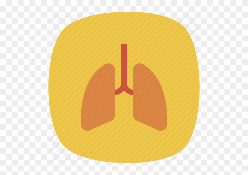 Medical Health Square Rounded Vol By Dinosoftlabs - Medical Health Square Rounded Vol By Dinosoftlabs #1501429