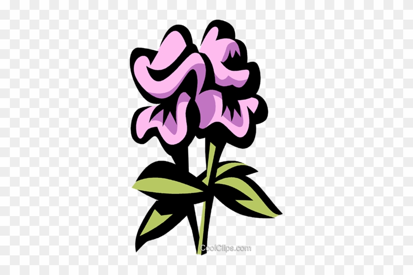 Snapdragon Royalty Free Vector Clip Art Illustration - Snapdragon Royalty Free Vector Clip Art Illustration #1502023