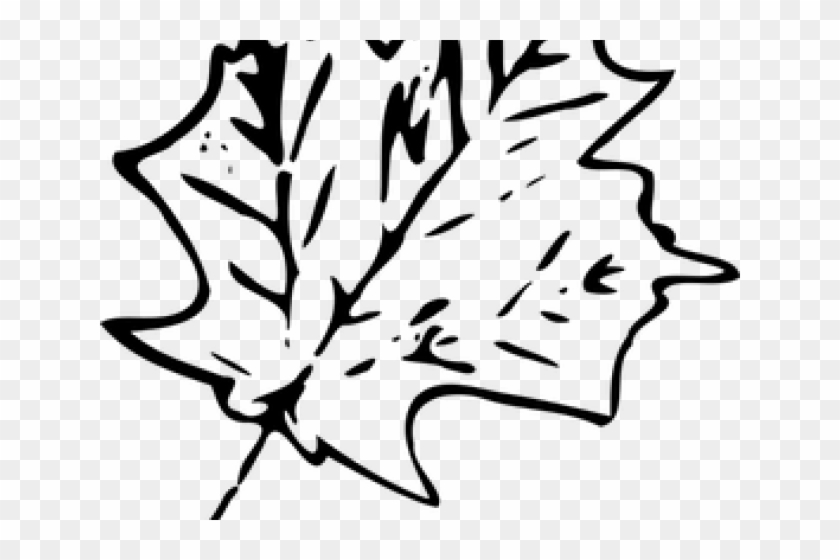 Fern Clipart Daun - Fern Clipart Daun #1502314