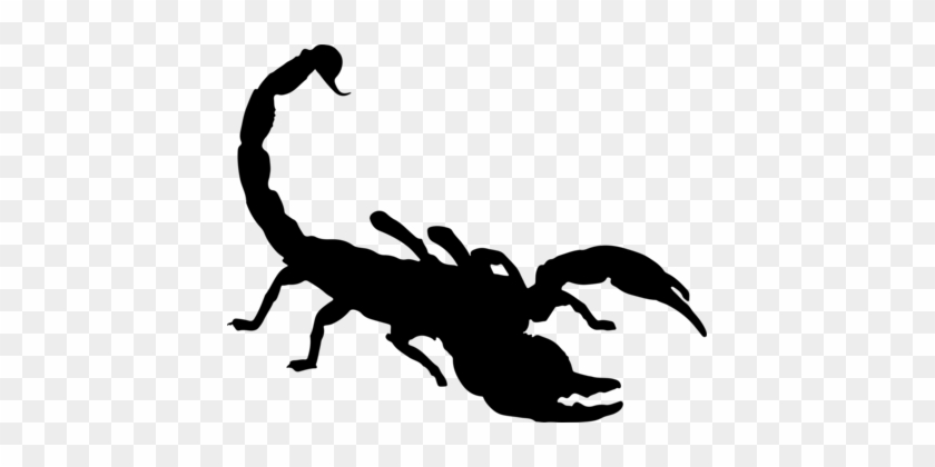Scorpion Silhouette Drawing Download - Scorpion Silhouette Drawing Download #1502760