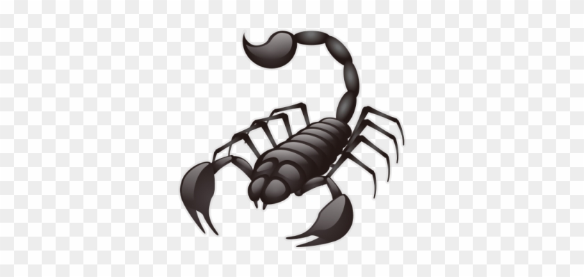 Scorpion Animals Scorpio - Scorpion Animals Scorpio #1502766
