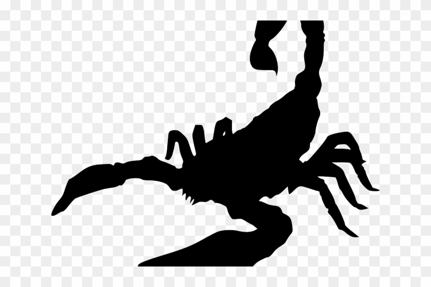 Drawn Scorpion Svg - Drawn Scorpion Svg #1502790