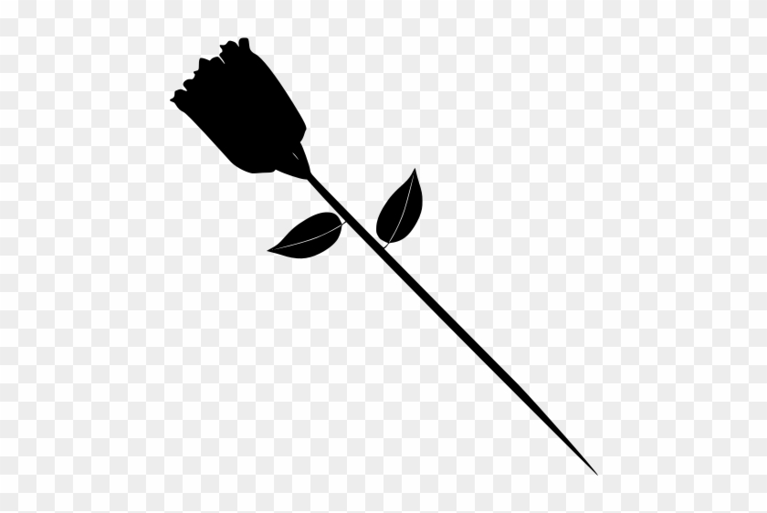 Info - Info #1503008