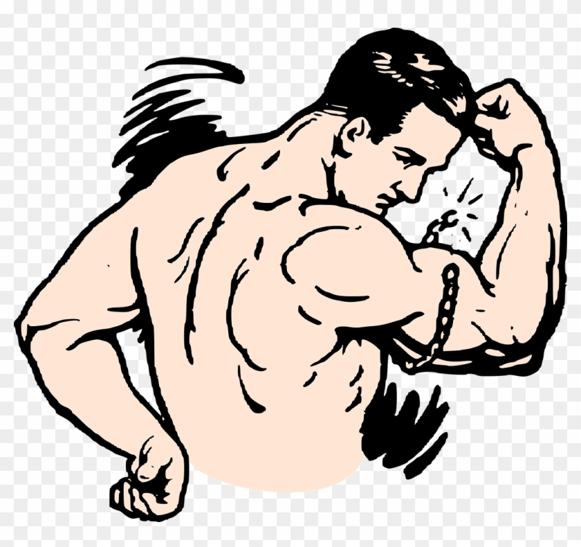 Exercise Clipart Push Up - Exercise Clipart Push Up #1503128