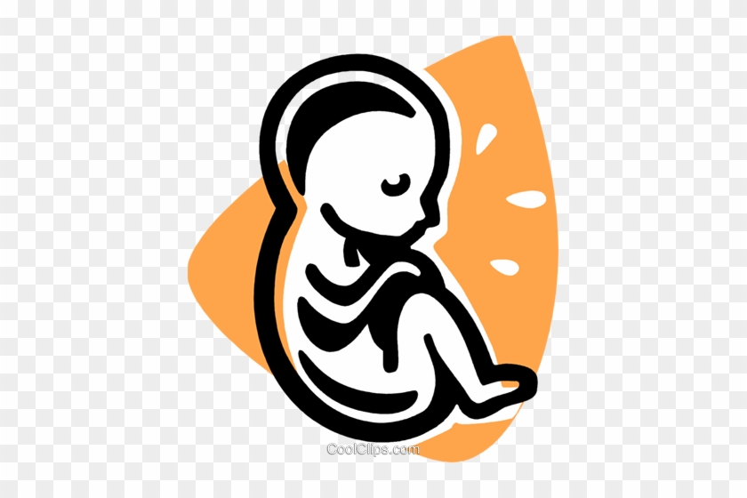 Fetus Royalty Free Vector Clip Art Illustration -vc075914 - Fetus Royalty Free Vector Clip Art Illustration -vc075914 #1503214