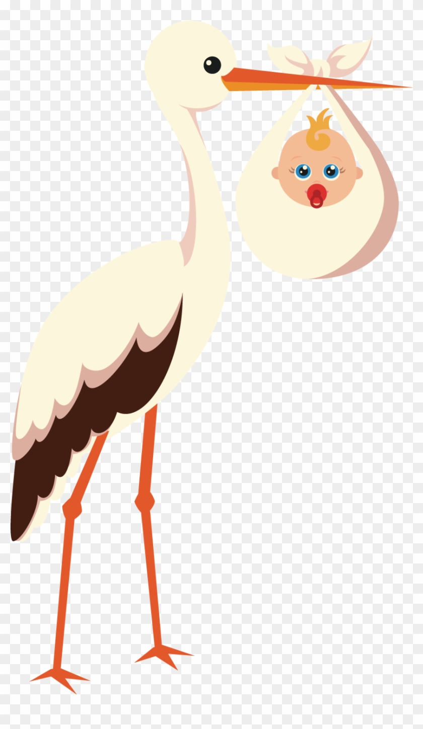 Stork Vector Pregnancy - Stork Vector Pregnancy #1503221