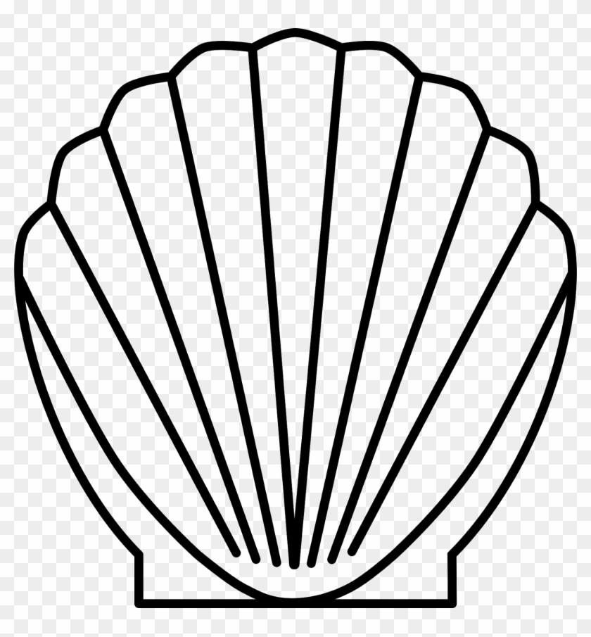 Shell Seashell Sea - Shell Seashell Sea #1503463