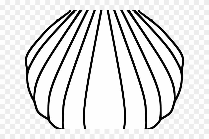 Drawn Shell Pilgrim X Dumielauxepices Net - Drawn Shell Pilgrim X Dumielauxepices Net #1503504
