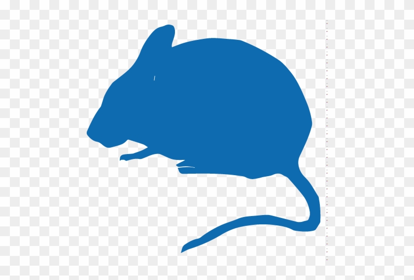 Facilities - Facilities #1503808