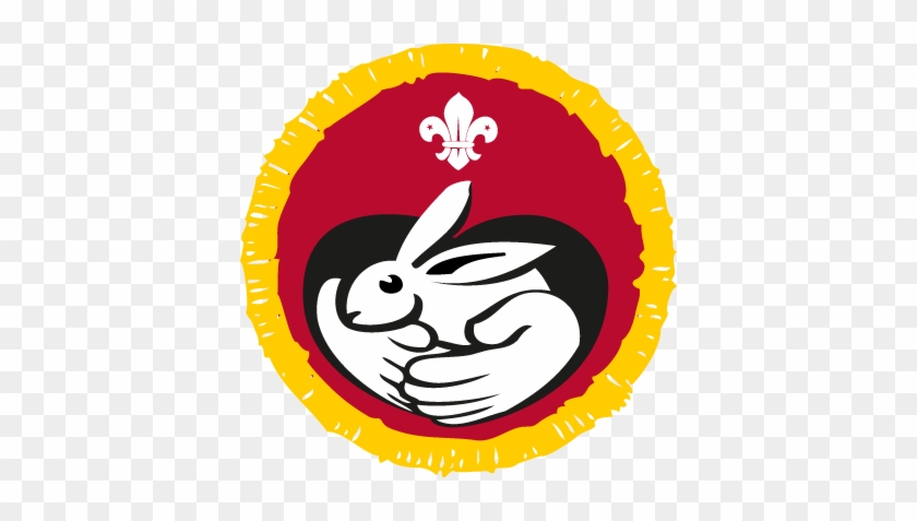 Animal Carer Activity Badge - Animal Carer Activity Badge #1503949