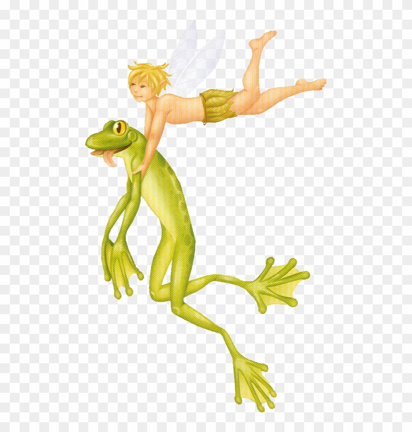 Frog And Fairy - Frog And Fairy #1504168