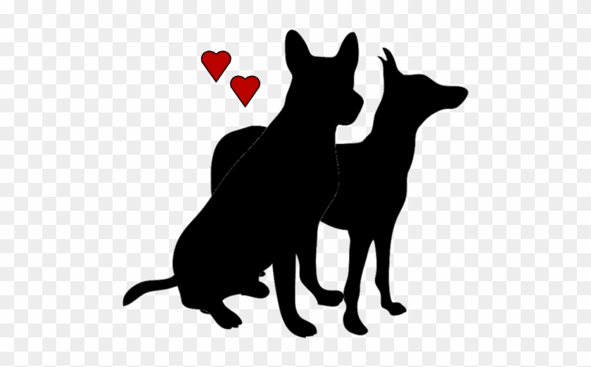 Dog Training, Cumbria, Dog, Dogs, Training, Dog Grooming, - Dog Training, Cumbria, Dog, Dogs, Training, Dog Grooming, #1504214