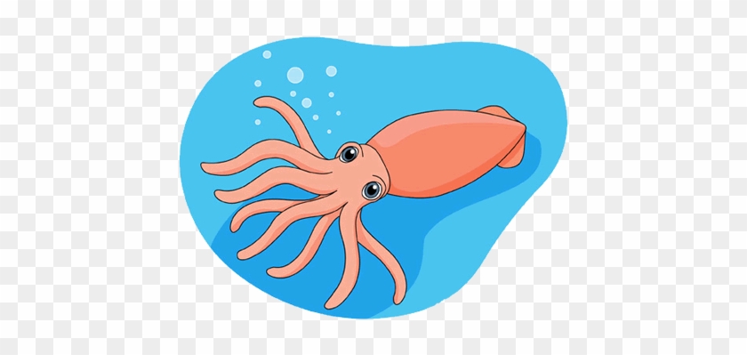 Squid - Squid #1504294