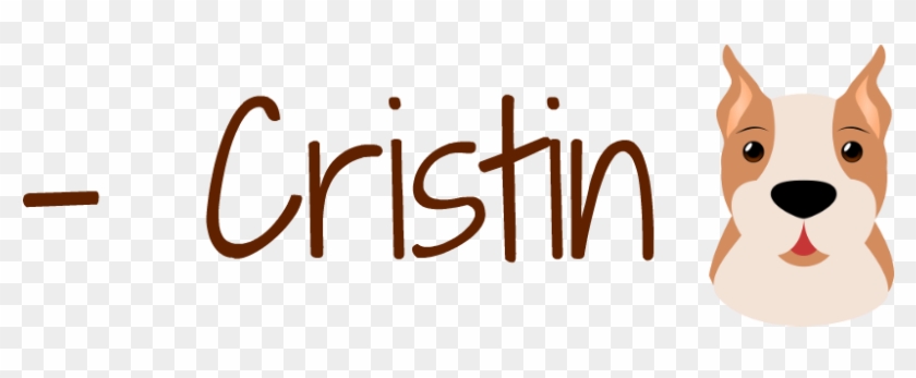 Boxer Dog Blog Background For Today - Boxer Dog Blog Background For Today #1504337