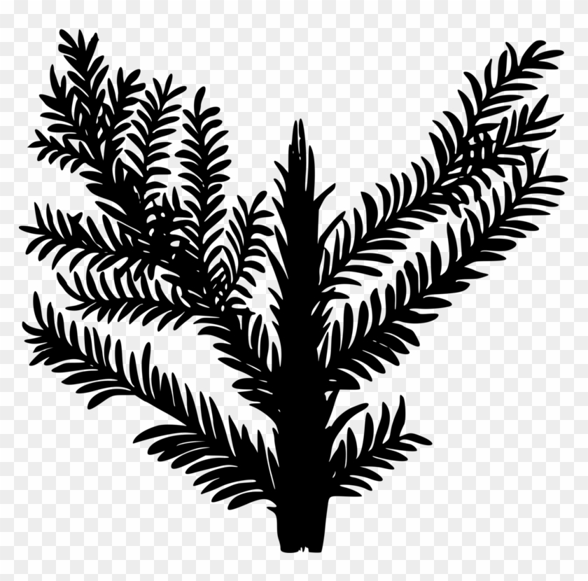 Drawing Encapsulated Postscript Computer Icons Palm - Drawing Encapsulated Postscript Computer Icons Palm #1504437