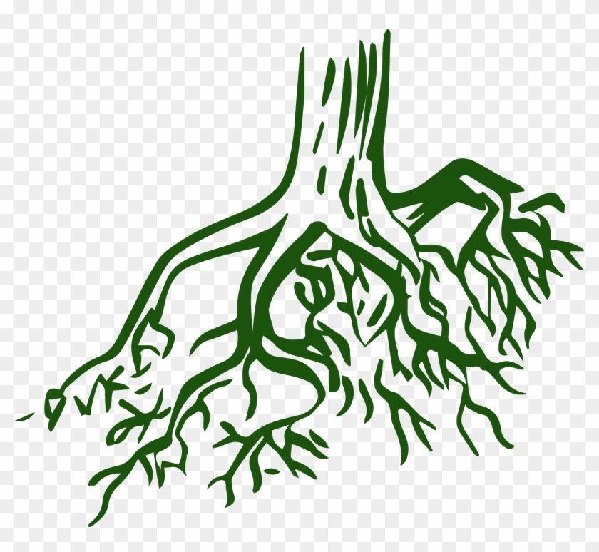 Roots Clipart Root Texas - Roots Clipart Root Texas #1504634