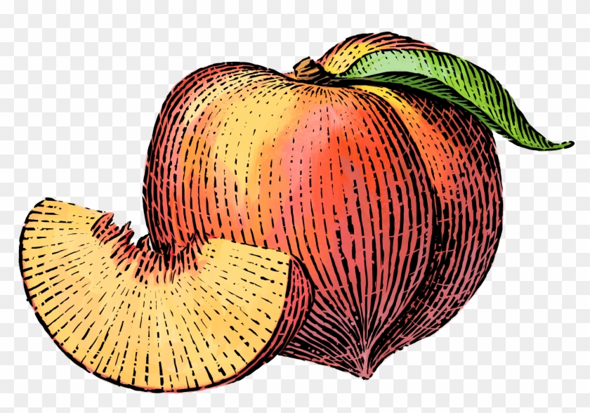 Clipart Free Download Nutrition Clipart Mixed Fruit - Clipart Free Download Nutrition Clipart Mixed Fruit #1505071