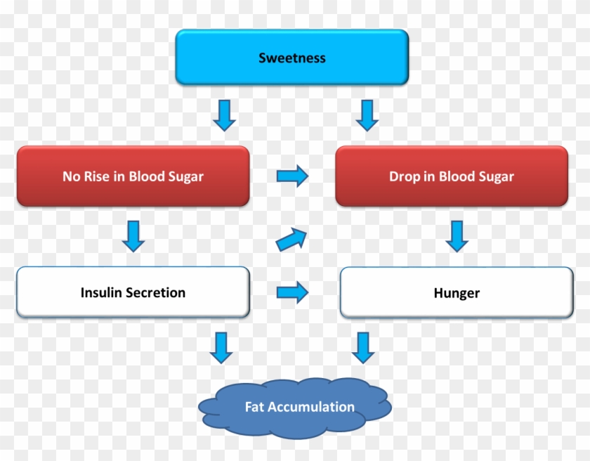 Are The Health Effects Of Artificial Sweeteners Concerning - Are The Health Effects Of Artificial Sweeteners Concerning #1505554