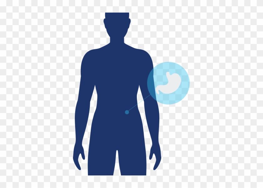 Digestion Icon Digestion Active Icon - Digestion Icon Digestion Active Icon #1505676