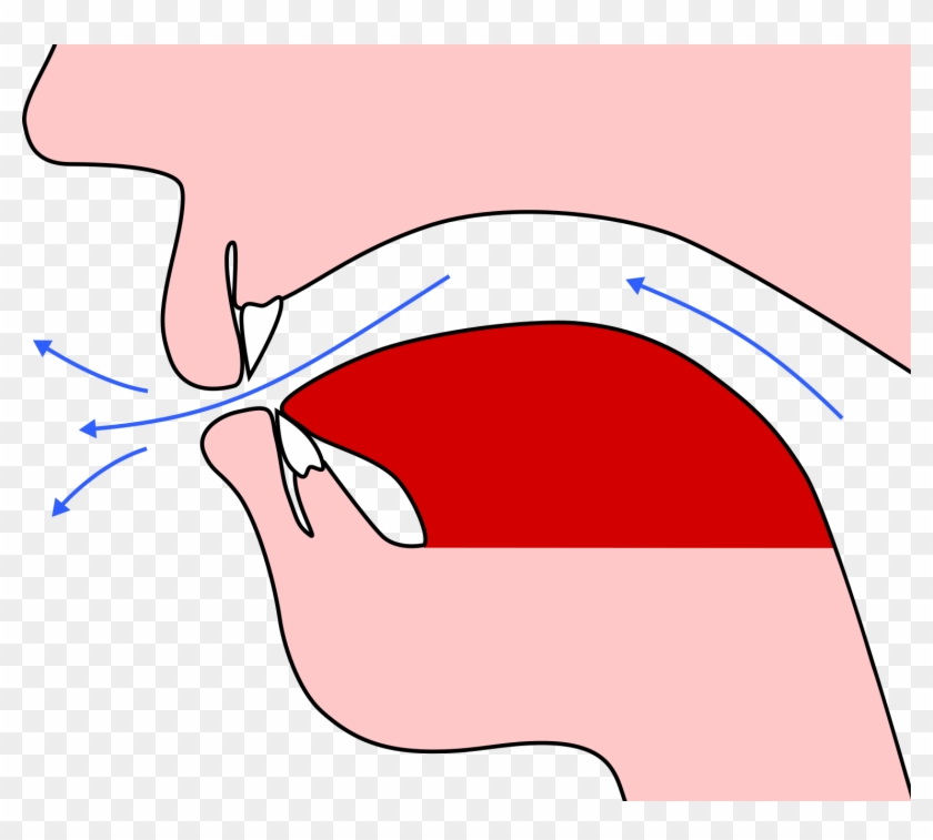 Tongue Lowered - Tongue Lowered #1506851