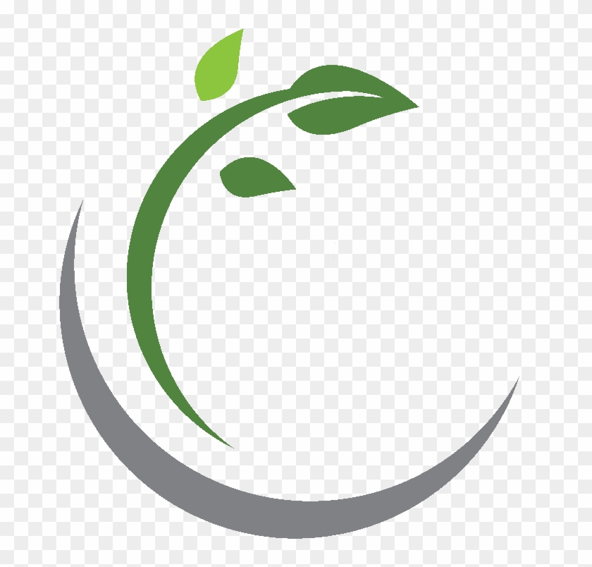 Clarinet Quartet - Clarinet Quartet #1506920