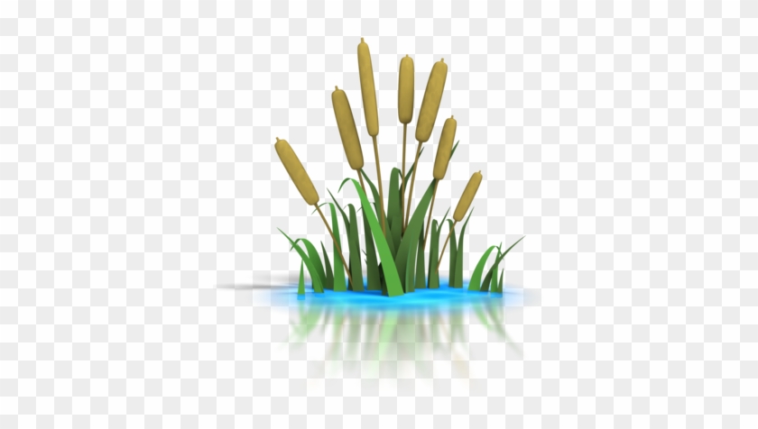 Pond Transparent Png Pictures - Pond Clip Art - Full Size PNG Clipart ...