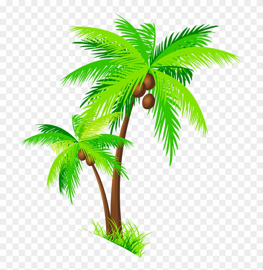 Clipart Of Coconut Tree Palm Nariyal Pencil And In - Clip Art #234037