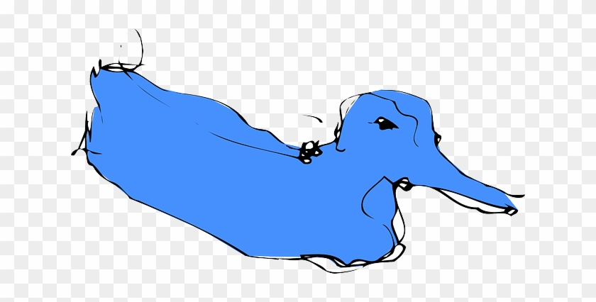 Animal Blue, Simple, Sketch, Bird, Duck, Style, Art, - Blue Duck #234309