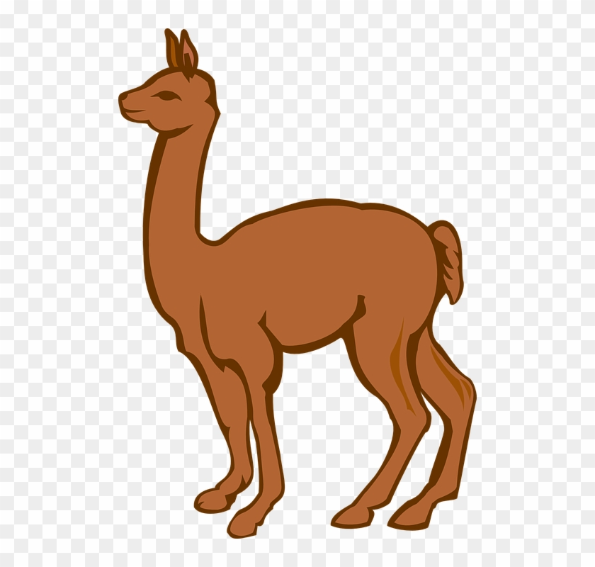 Alpaca Clipart Transparent - Lama Clip Art #234380