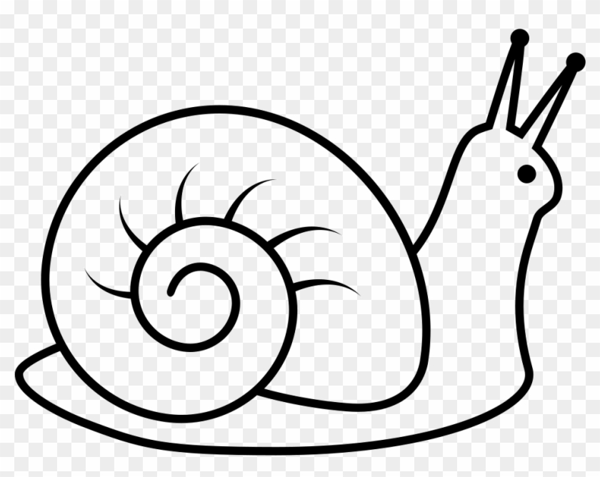 Png File Svg - Outline Image Of Snail #234472