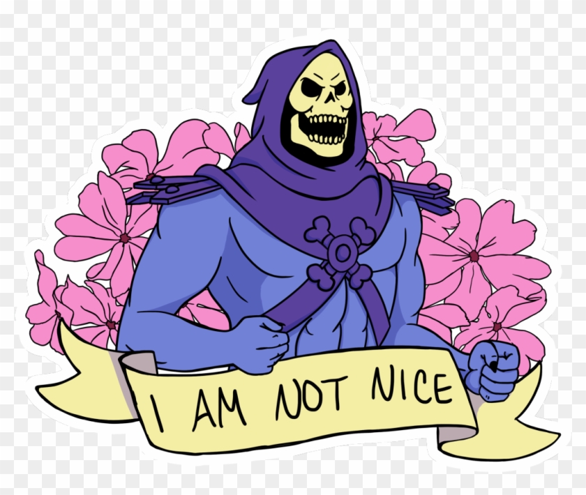 Mynahahahahaaaa - Skeletor I Am Not Nice #234591