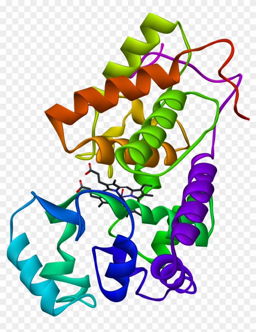 Peroxidase Enzyme #235019