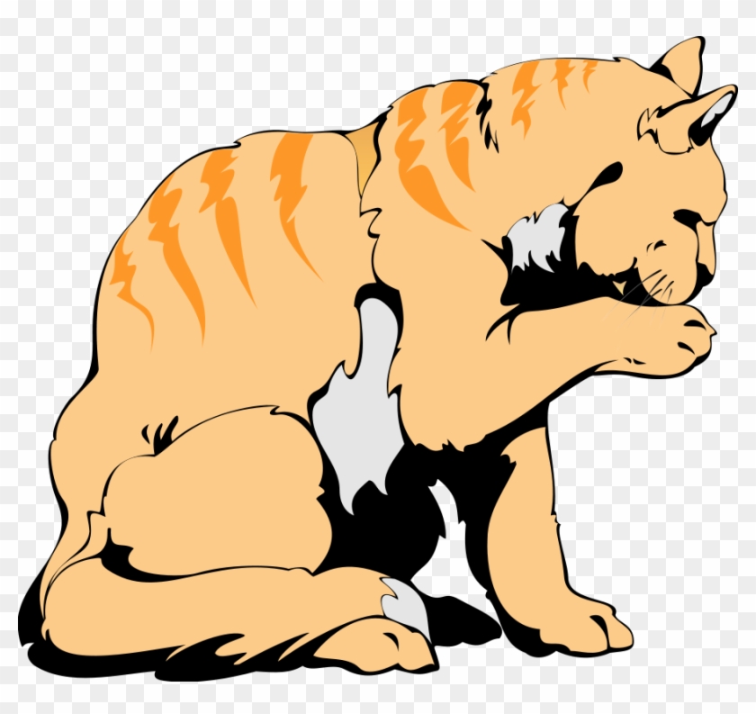 Orange Cat Art Design Large 900pixel Clipart, Orange - Cat Tin Sign Cat Vs. Dog - 31120a #235520