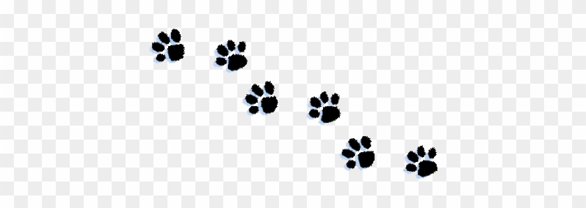 Cat Paw Print Clipart Kid - Dachshund #235528