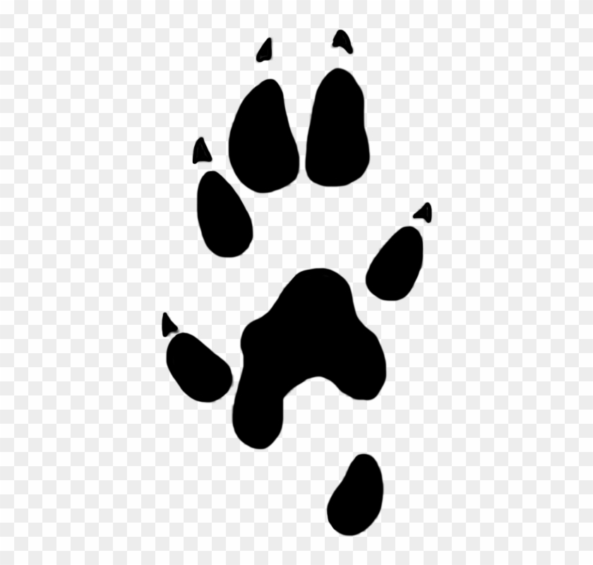 Stoat Paw Prints Clipart 22 Mm - Stoat Paw Prints Clipart 22 Mm #235529