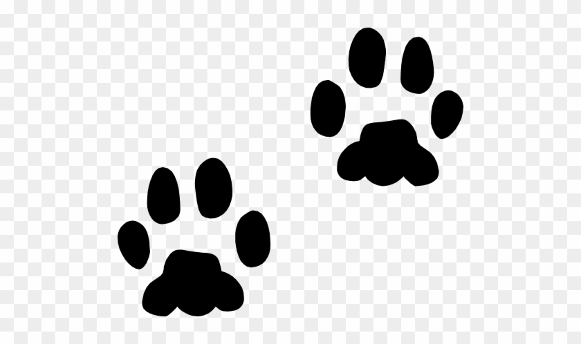 Dog Paws - Psí Stopy #235539