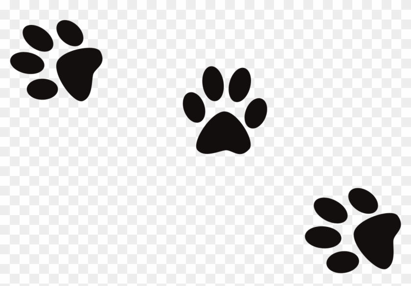 Conjuring Creek Boarding Kennels News - Dog Footprint Logo Png #235597