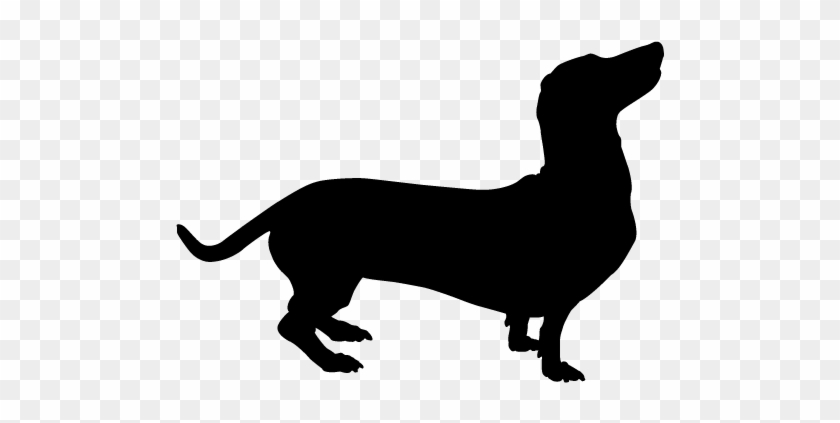 Clip Arts Related To - Dachshund #235636