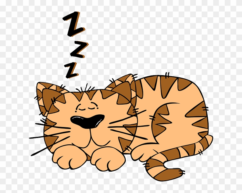 Boy Animals, Baby, Cat, Monkey, Mouse, Black, People, - Cat Sleeping Clipart #235655