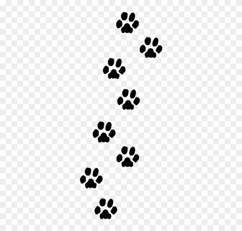 Free Free Paw Print Trail Svg 519 SVG PNG EPS DXF File