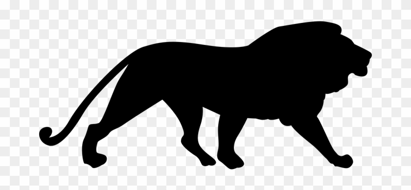 Lion Silhouette Mammal Wildlife Animal Pre - Lion Silhouette Png #235841