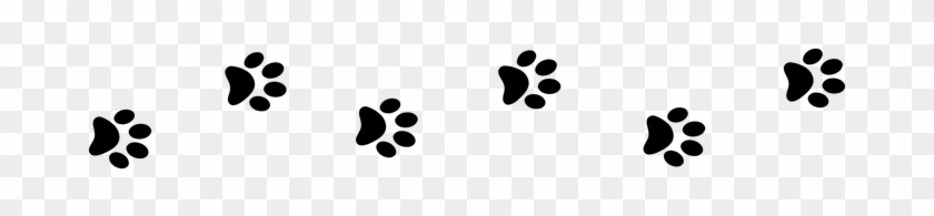 Black Less Paws Prints Hints Paws Paws Paw - Paws Png #235845