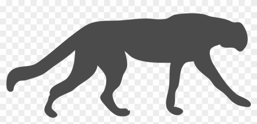 Wildcat Clipart Cougar - Black Panther Animal Outline #235873