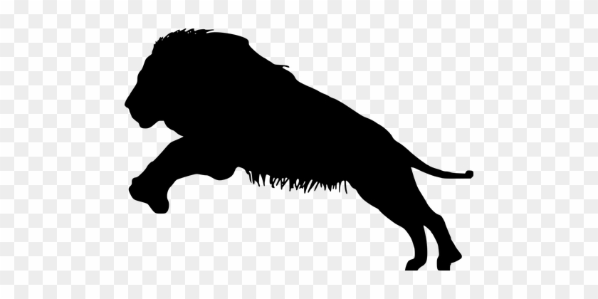 Lion, Silhouette, Mammal, Wildlife - Lion #235957