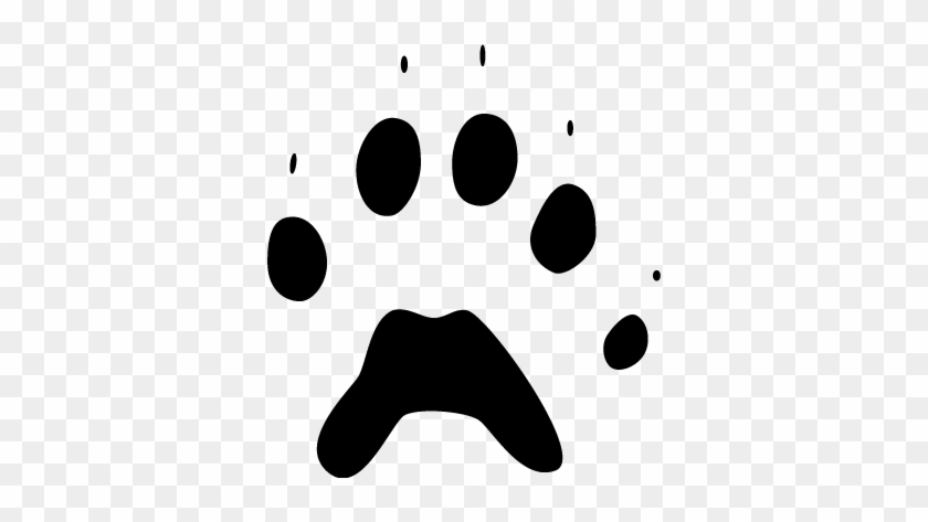 Hind Track - Hind Track #236105