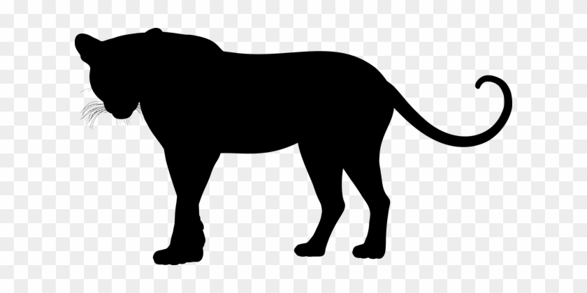 Leopard, Big Cat, Feline, Animal - Leopard Silhouette #236127